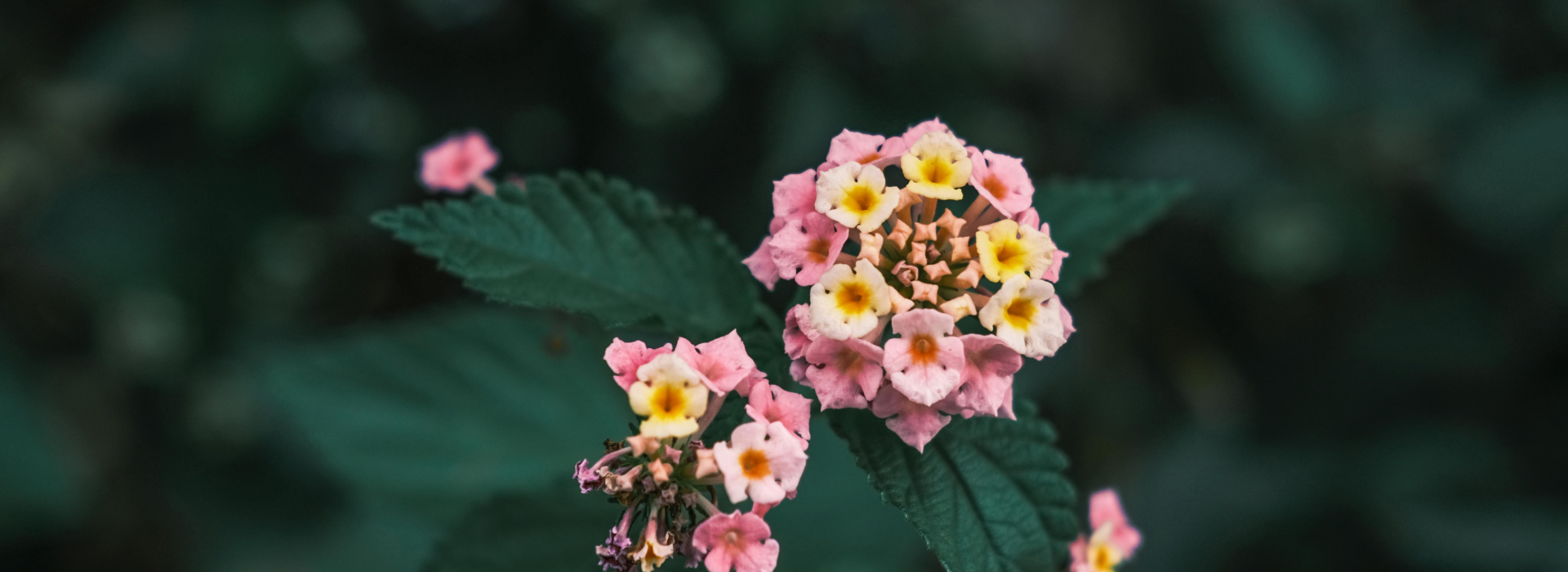 blog-05